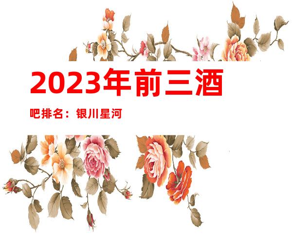 2023年前三酒吧排名：银川星河小酒吧攻略消费