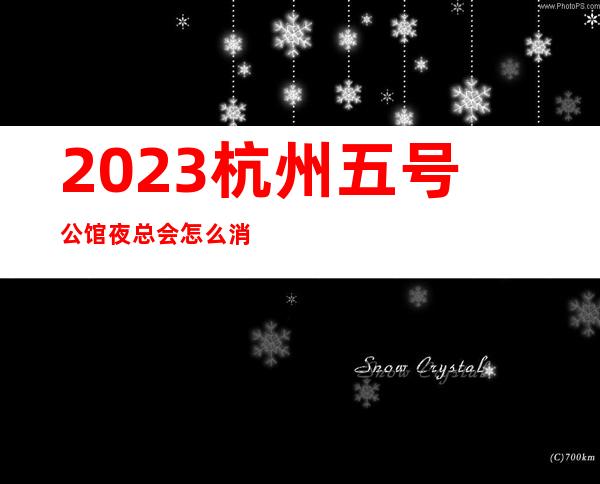 2023杭州五号公馆夜总会怎么消费夜总会怎么消费 – 杭州滨江中兴商务KTV