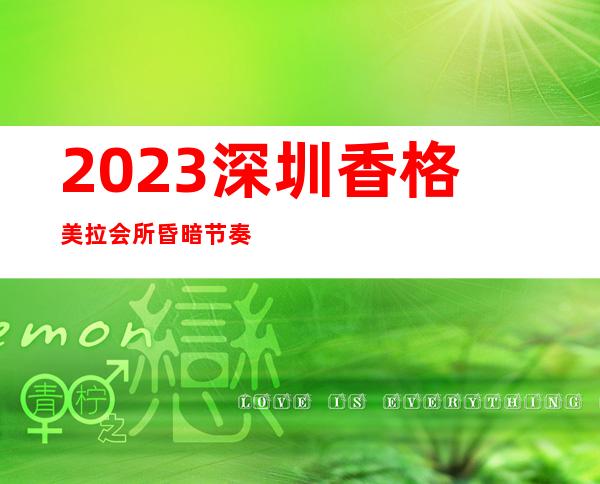 2023深圳香格美拉会所昏暗节奏舞娱乐会所节目棒 – 深圳坪山坪山商务KTV