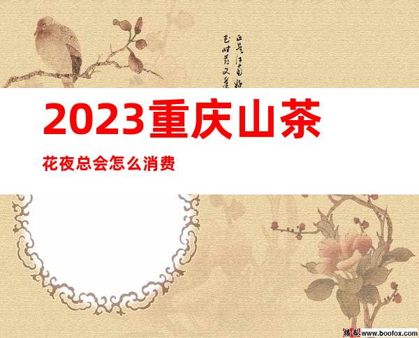 2023重庆山茶花夜总会怎么消费娱乐会所玩法？ – 重庆万盛金桥商务KTV