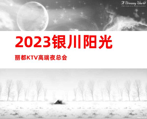 2023银川阳光丽都KTV高端夜总会高端夜总会玩法 – 银川灵武商务KTV