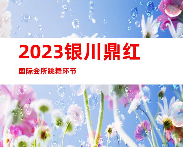 2023银川鼎红国际会所跳舞环节夜总会哪家好玩 – 银川永宁商务KTV