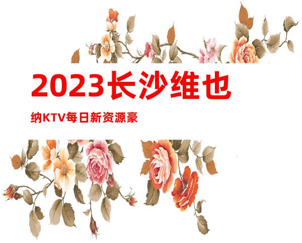 2023长沙维也纳KTV每日新资源豪华夜总会怎么玩 – 长沙雨花劳动中路商务KTV