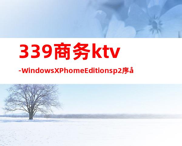 339商务ktv-Windows XP home Edition sp2序列号