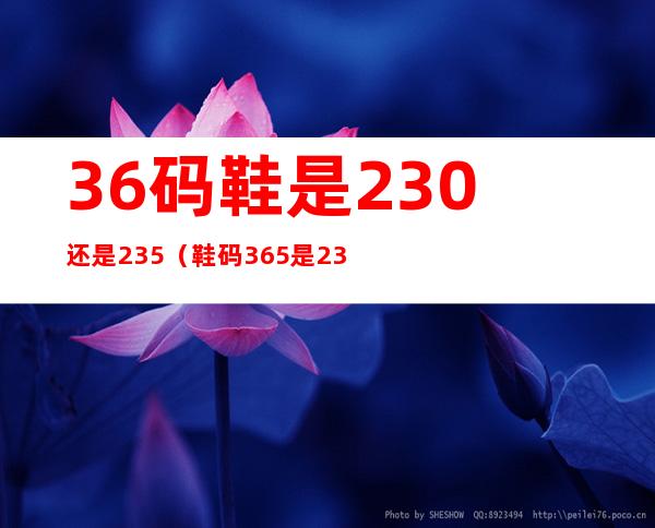 36码鞋是230还是235（鞋码36.5是230还是235）