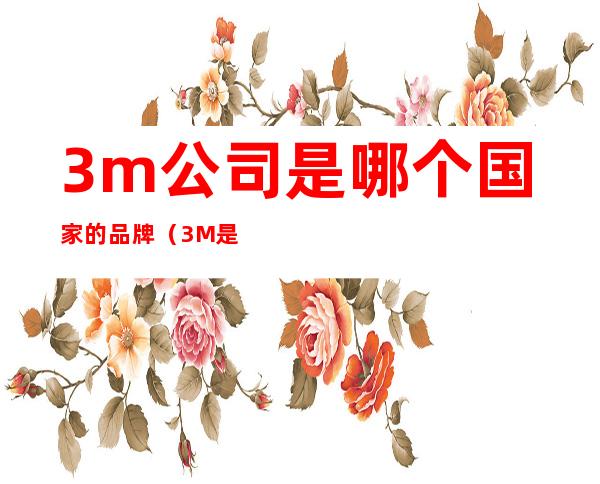 3m公司是哪个国家的品牌（3M是哪里的品牌）