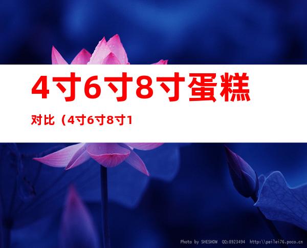 4寸6寸8寸蛋糕对比（4寸6寸8寸10寸蛋糕对比）