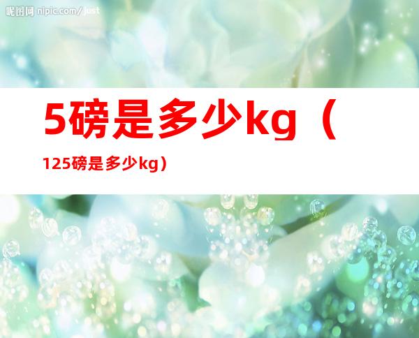 5磅是多少kg（12.5磅是多少kg）