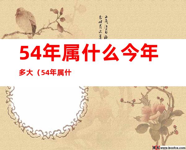 54年属什么今年多大（54年属什么?有多大?）