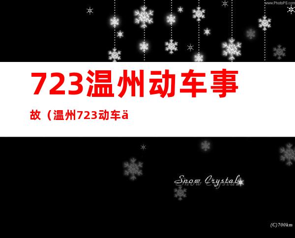 723温州动车事故（温州723动车事故报告）