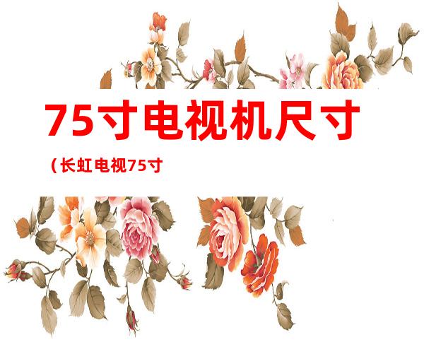 75寸电视机尺寸（长虹电视75寸电视机尺寸）