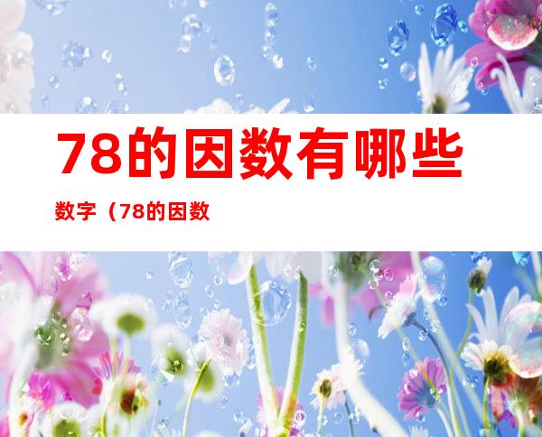 78的因数有哪些数字（78 的因数有哪些）