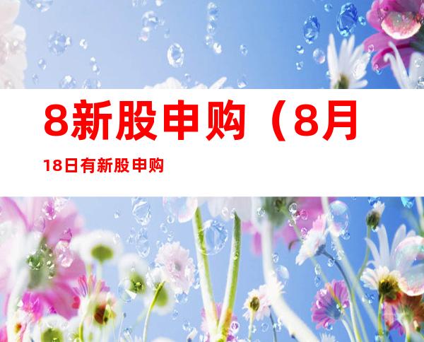 8新股申购（8月18日有新股申购吗）