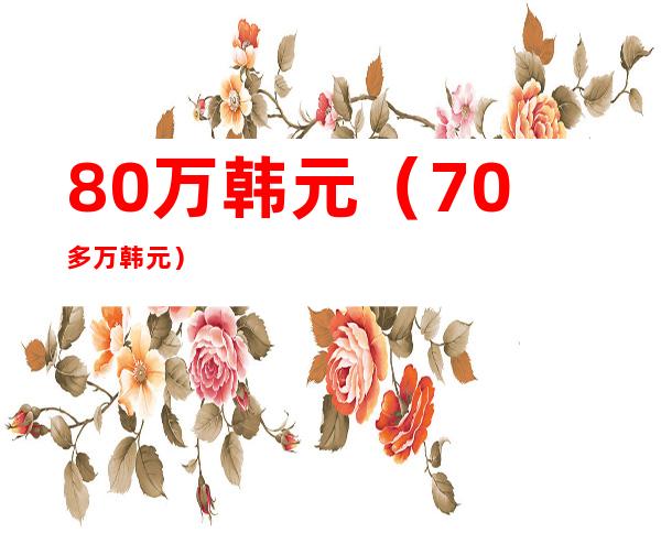 80万韩元（70多万韩元）