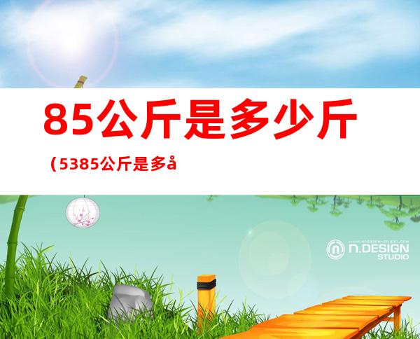 85公斤是多少斤（53.85公斤是多少斤）