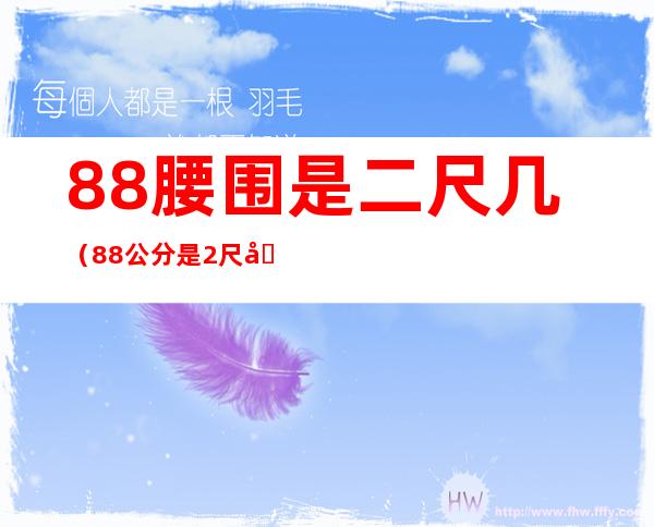 88腰围是二尺几（88公分是2尺几的腰围）