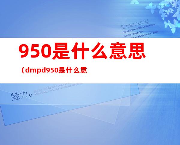 950是什么意思（dmpd950是什么意思）