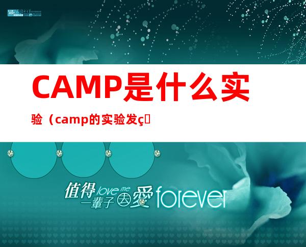 CAMP是什么实验（camp的实验发现过程）