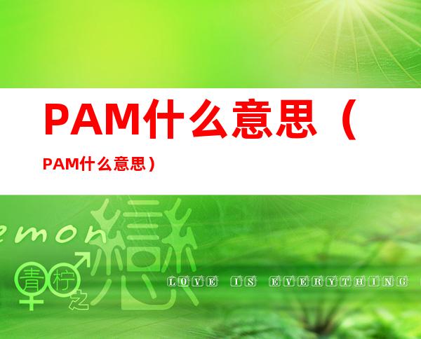 PAM什么意思（PAM什么意思）