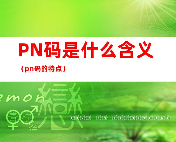 PN码是什么含义（pn码的特点）