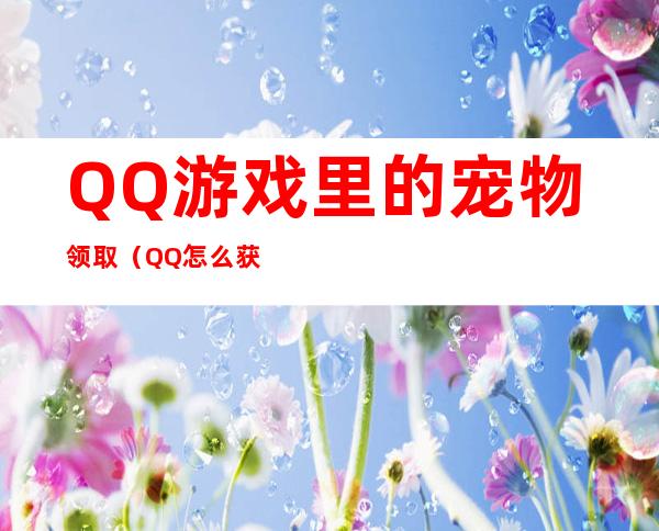 QQ游戏里的宠物领取（QQ怎么获得宠物）