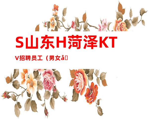 S山东H菏泽KTV招聘员工（男女员工特）高薪好上班的KTV招聘