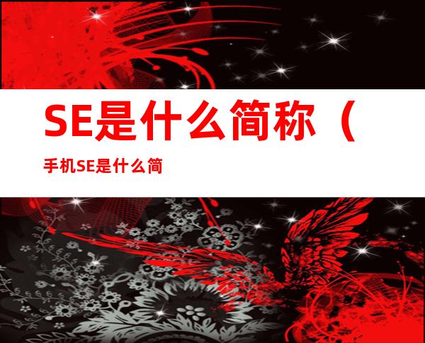 SE是什么简称（手机SE是什么简称）