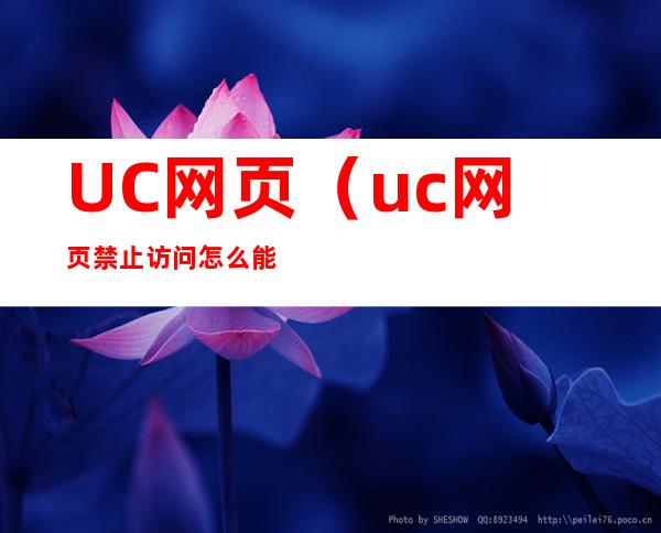 UC网页（uc网页禁止访问怎么能打开）