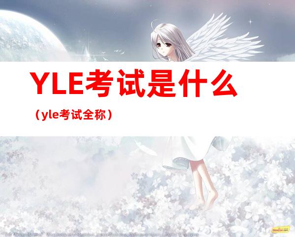 YLE考试是什么（yle考试全称）