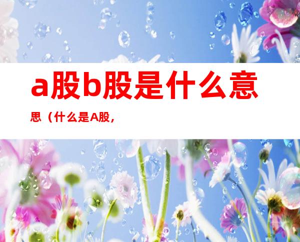 a股b股是什么意思（什么是A股,B股）