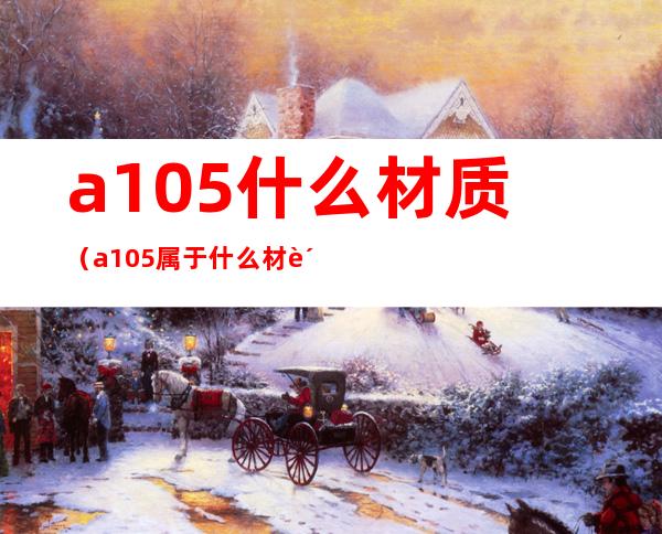 a105什么材质（a105属于什么材质）