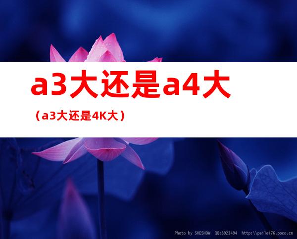 a3大还是a4大（a3大还是4K大）