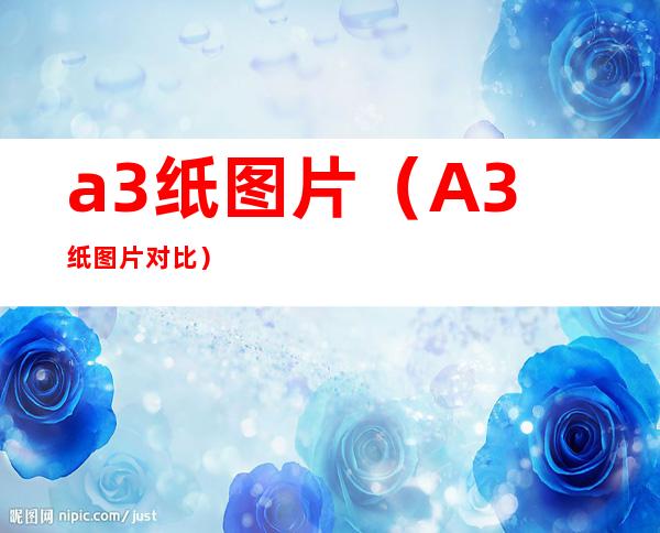 a3纸图片（A3纸图片对比）