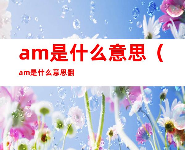 am是什么意思（am是什么意思翻译成中文）