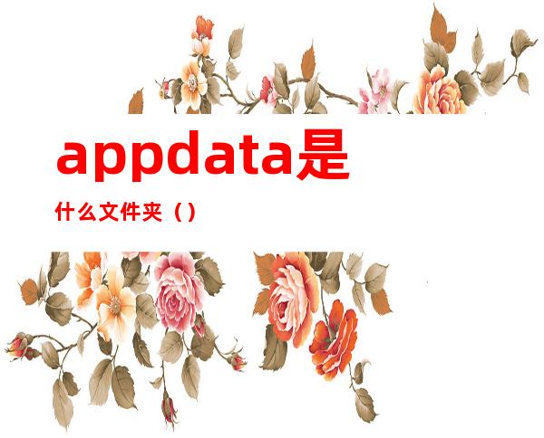 appdata是什么文件夹（）