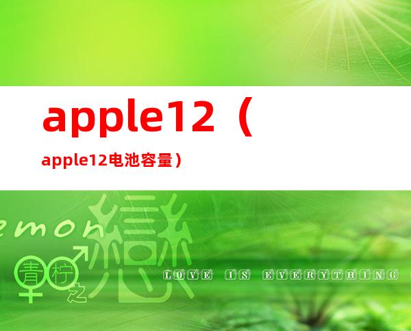 apple12（apple12电池容量）