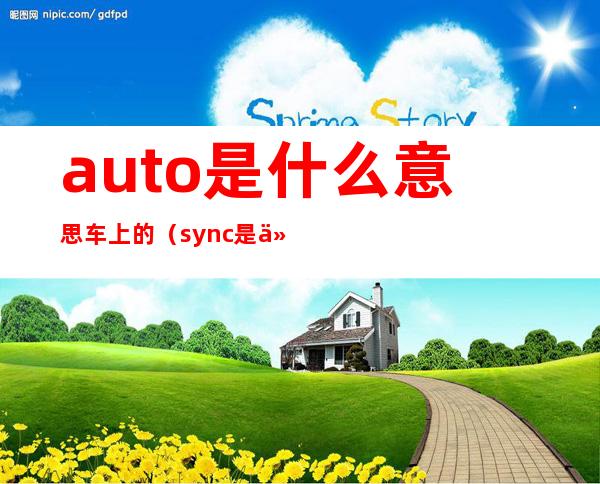 auto是什么意思车上的（sync是什么意思车上的功能）