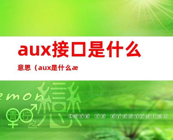 aux接口是什么意思（aux是什么意思）