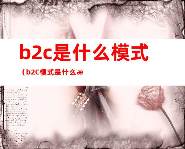 b2c是什么模式（b2C模式是什么意思啊）