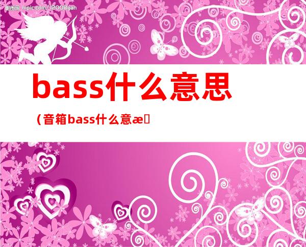 bass什么意思（音箱bass什么意思）