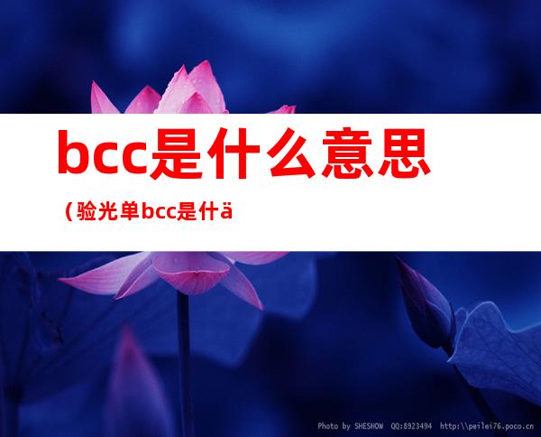 bcc是什么意思（验光单bcc是什么意思）