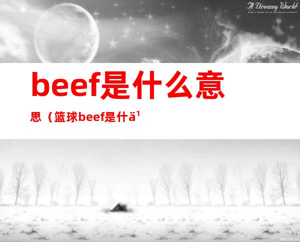 beef是什么意思（篮球beef是什么意思）