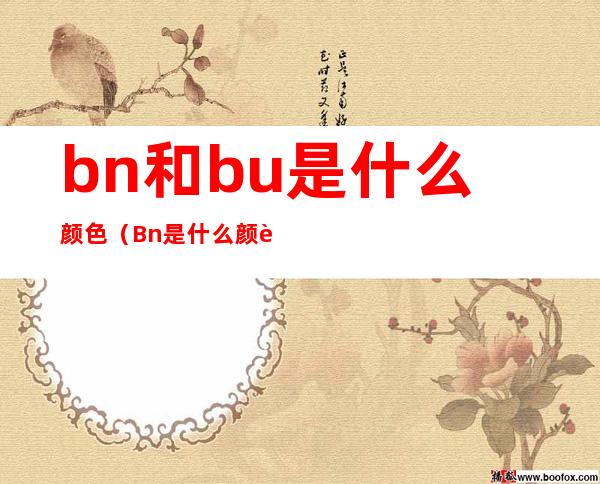 bn和bu是什么颜色（Bn是什么颜色）