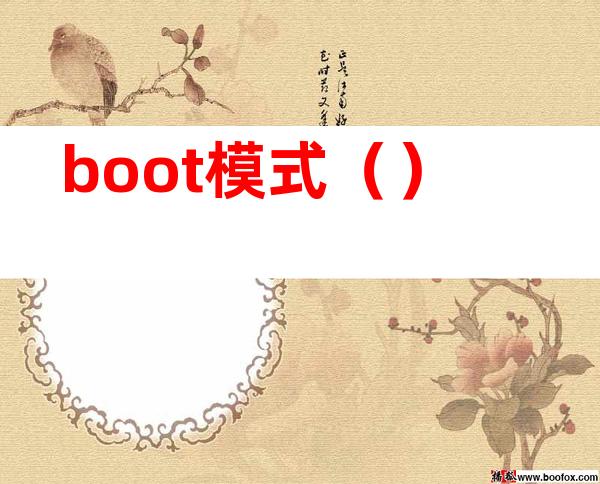 boot模式（）