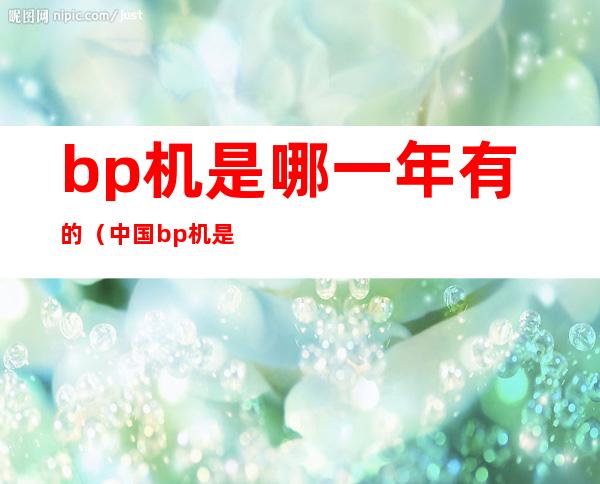 bp机是哪一年有的（中国bp机是哪一年有的）