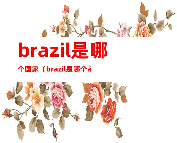 brazil是哪个国家（brazil是哪个国家国旗图片）