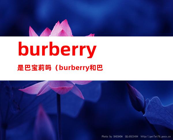 burberry是巴宝莉吗（burberry和巴宝莉是什么关系）