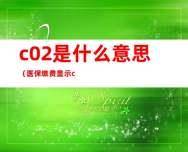 c02是什么意思（医保缴费显示c02是什么意思）