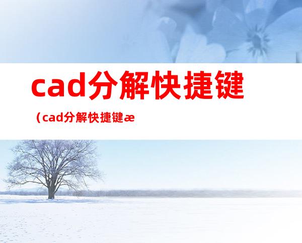 cad分解快捷键（cad分解快捷键怎么操作）