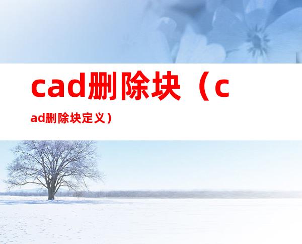 cad删除块（cad删除块定义）